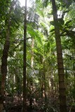 Litchfield NP