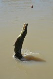 Adelaide River