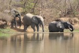 Mole National Park