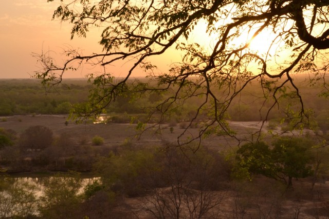 Mole National Park