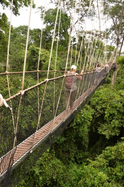 Kakum NP