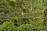 Kakum NP
