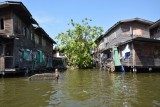 Bangkok Khlongs