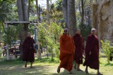 Rare jongens die Buddhisten ?!