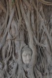 Ayutthaya