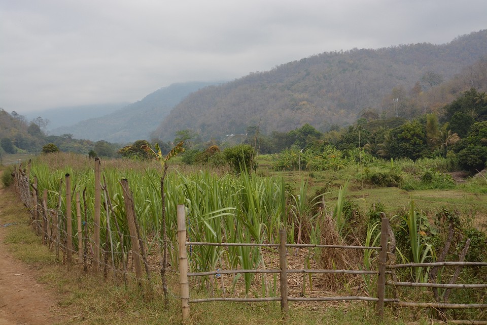 Chiang Mai