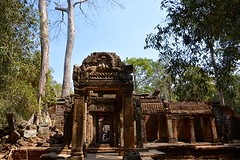 Ta Prohm