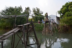 Monkey bridge