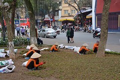 Tuinonderhoud Hanoi