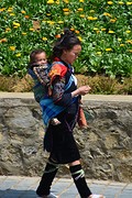 Sapa