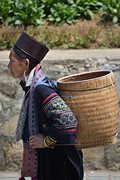 Sapa
