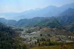 Sapa