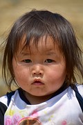 Sapa