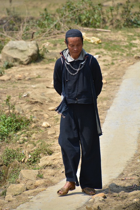 Sapa
