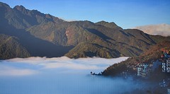 Sapa