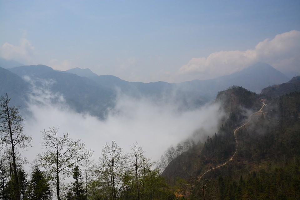 Sapa