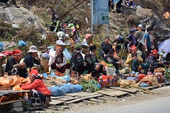 Sapa