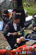 Sapa