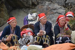 Sapa