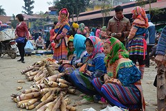 Bac Ha