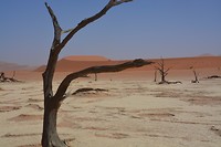 Namibië