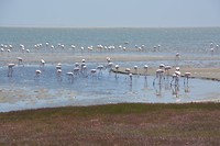 Namibië