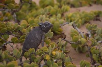 Namibië