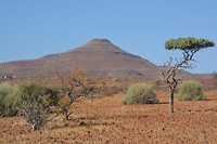 Namibië