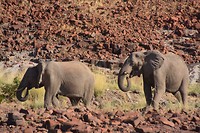 Namibië