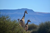 Namibië