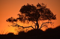 Namibië