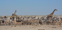 Namibië