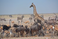 Namibië