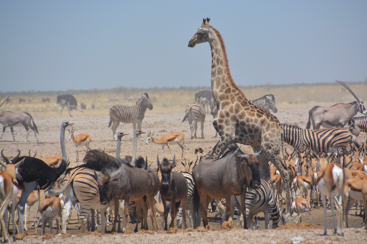Namibië
