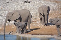 Namibië