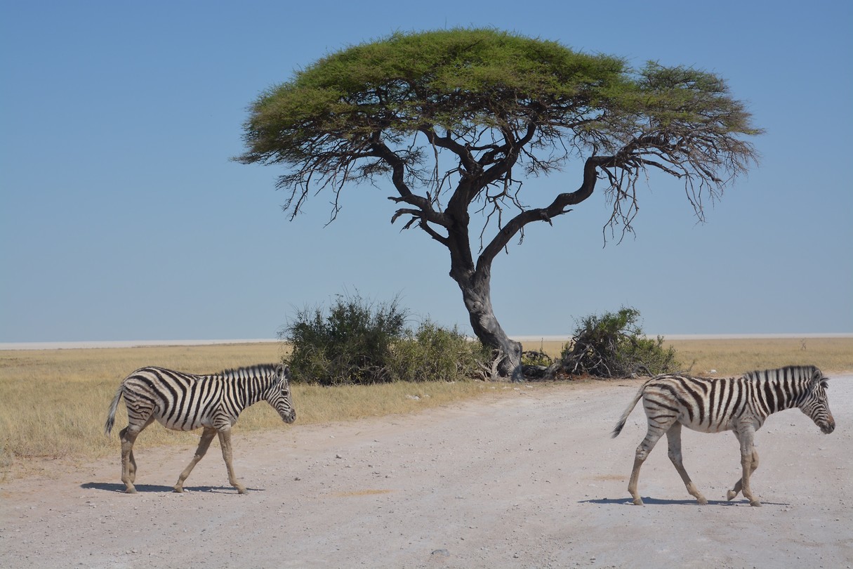 Namibië