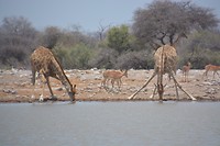 Namibië