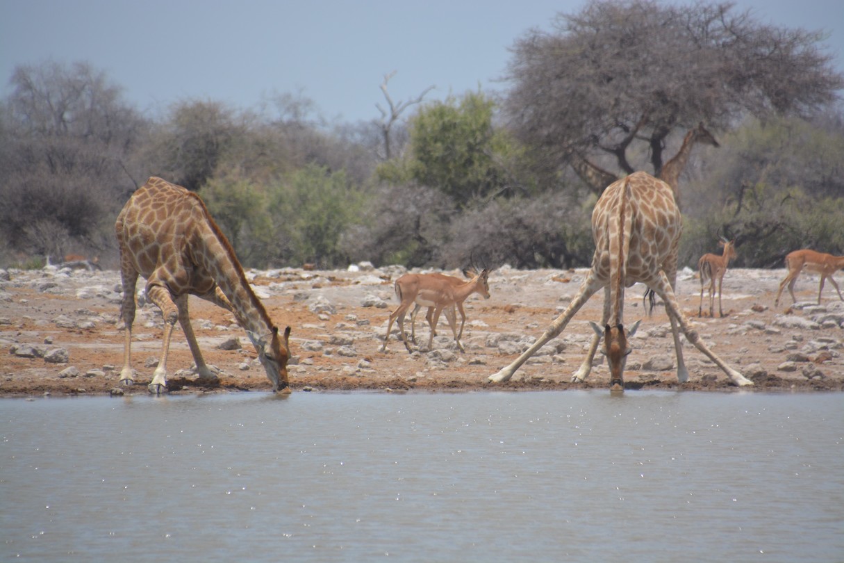 Namibië