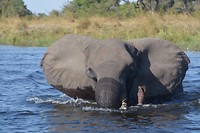 Namibië