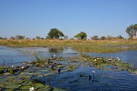 Namibië