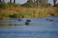 Namibië