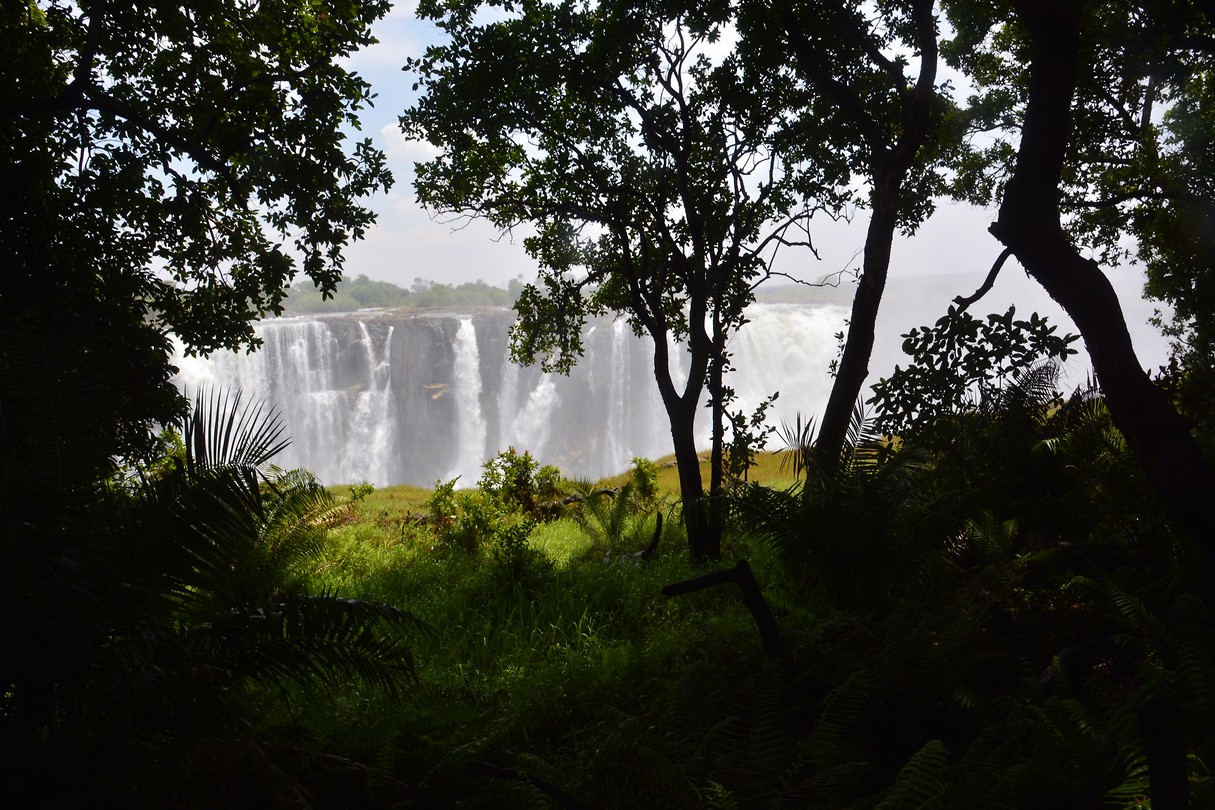 Zimbabwe