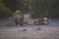 Botswana