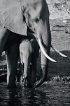 Botswana