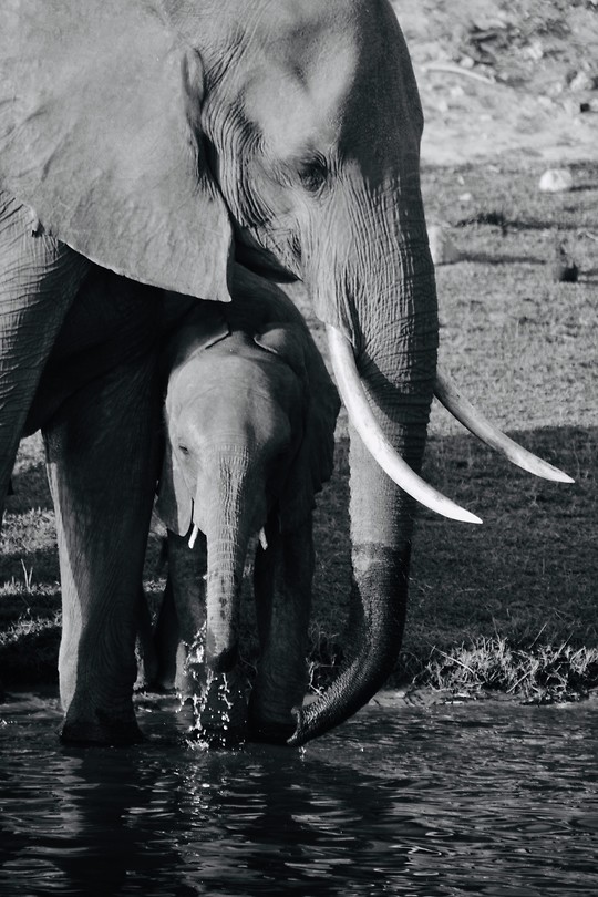 Botswana