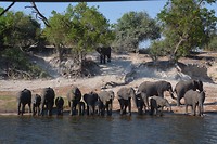Botswana