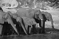 Botswana