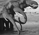 Botswana