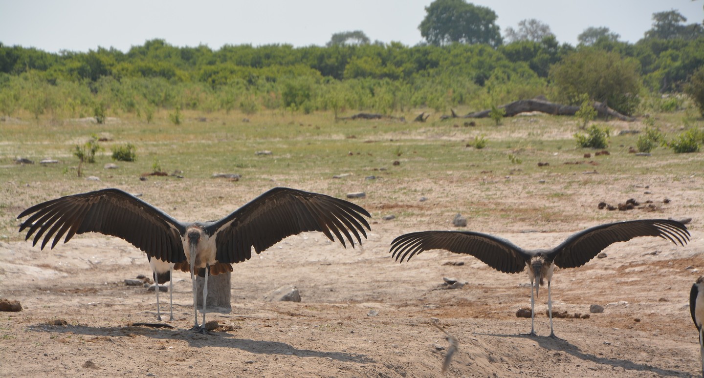 Botswana