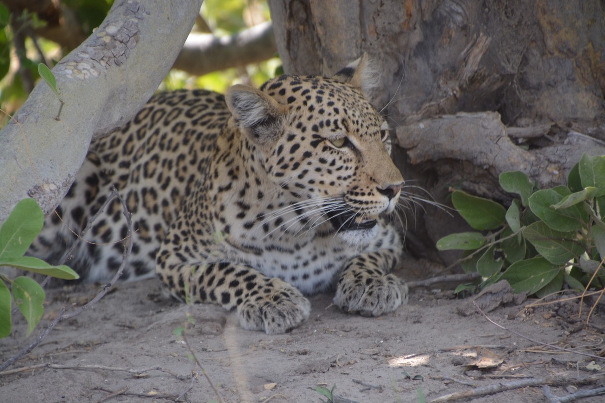 Botswana